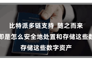 比特派多链支持  随之而来的问题即是怎么安全地处置和存储这些数字资产