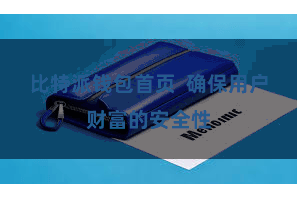 比特派钱包首页  确保用户财富的安全性