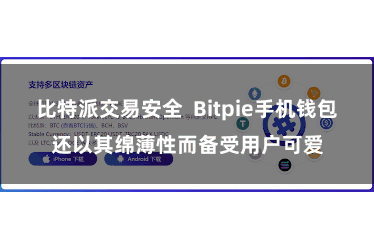 比特派交易安全  Bitpie手机钱包还以其绵薄性而备受用户可爱