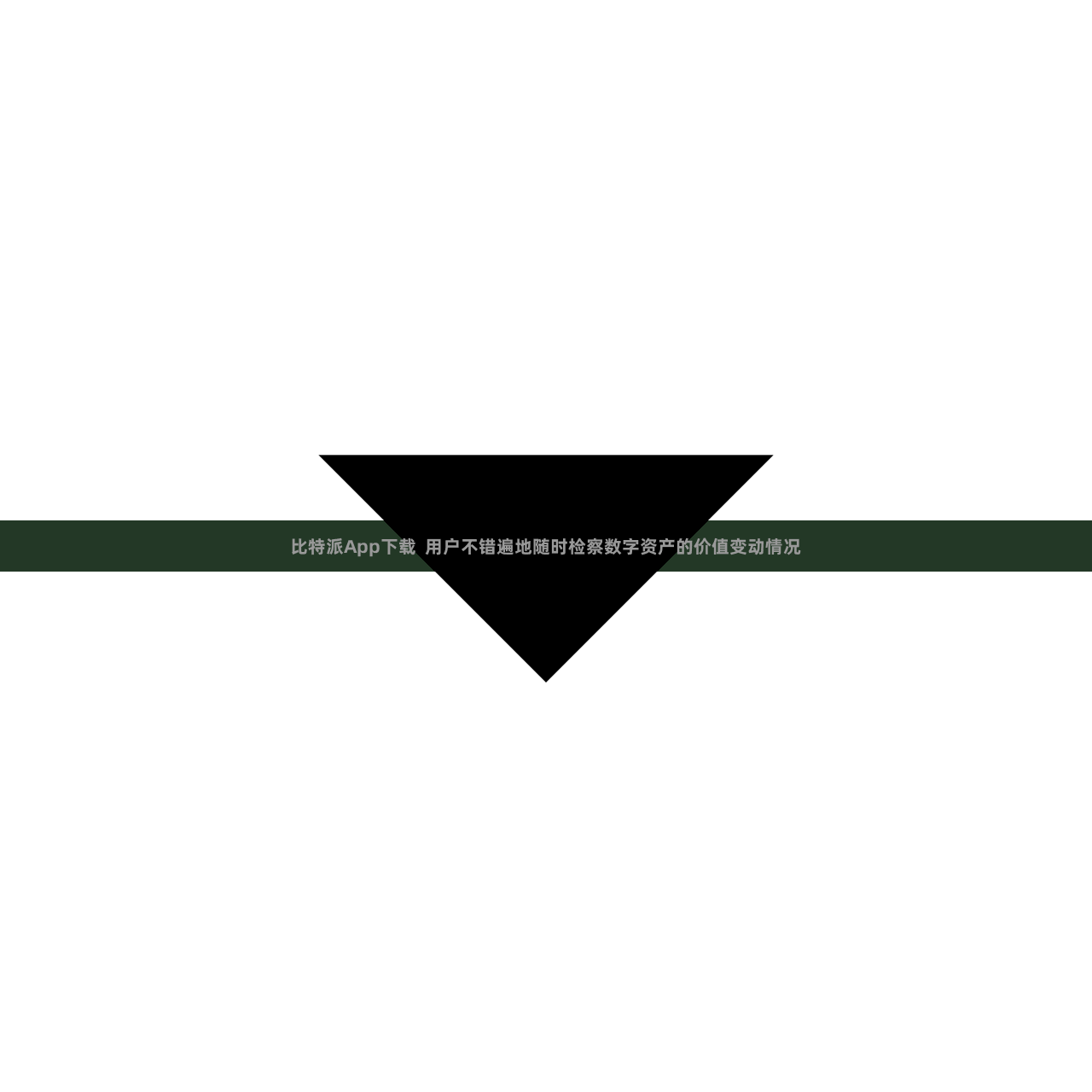 比特派App下载  用户不错遍地随时检察数字资产的价值变动情况