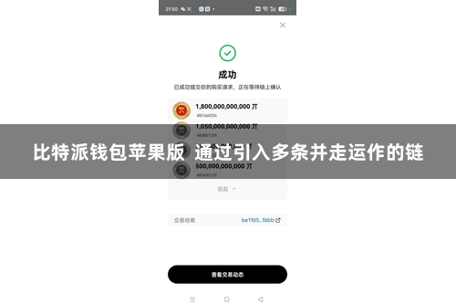 比特派钱包苹果版  通过引入多条并走运作的链